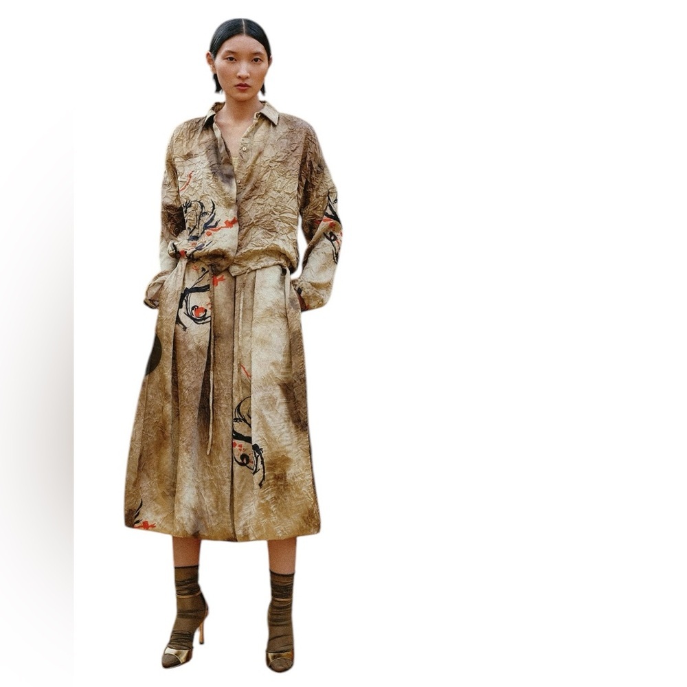 ZARA Asia Region Exclusive Limited Edition/Dragon Printed Lantern Skirt in Sz S - Picture 2 of 7